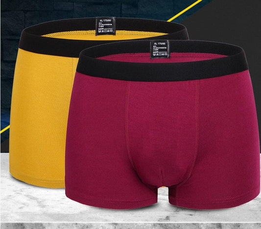Pure Color Bamboo Fiber Men Underwear Alvionz.de